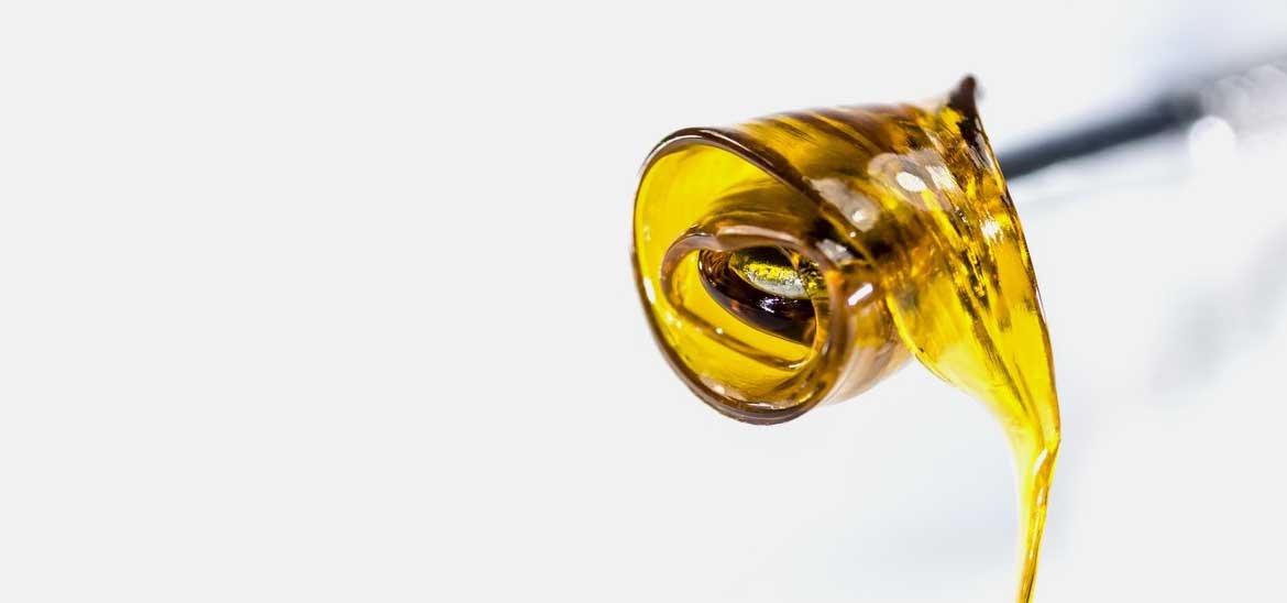Buy Shatter Online — Golden & Stable — Bulk Buddy Canada