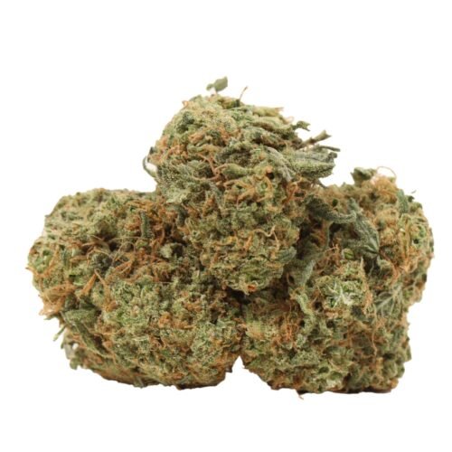 Blueberry AK