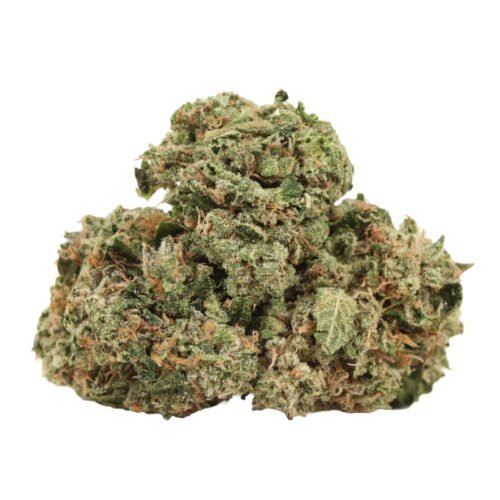 Comatose OG