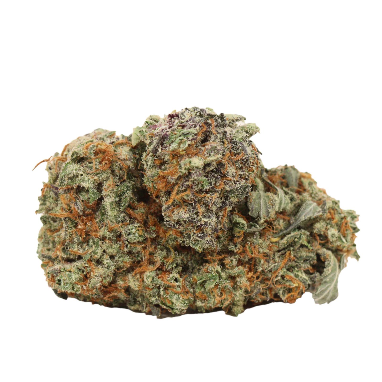 Critical Kush
