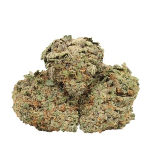 Dank Sinatra
