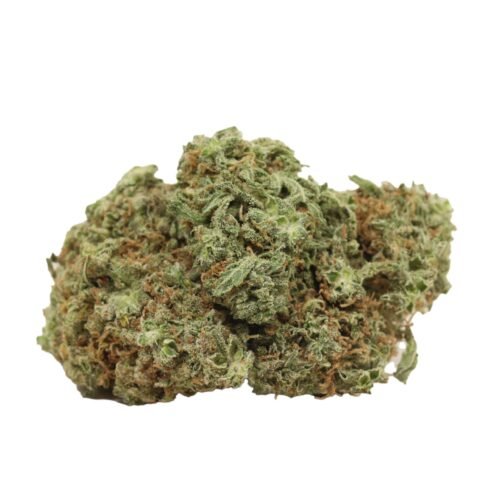 JackFruit