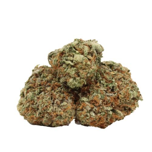 King Louis XIII