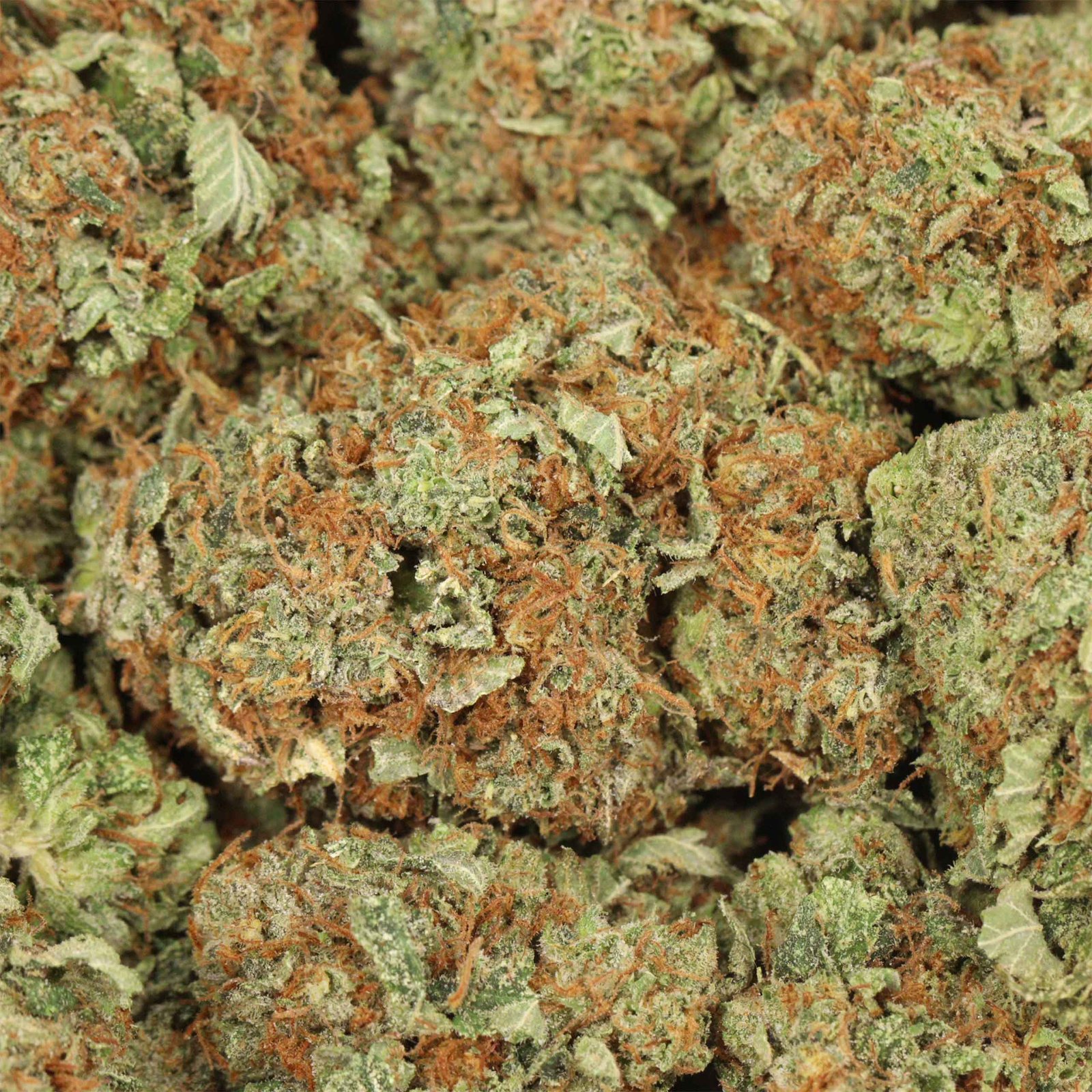 Pink Gas