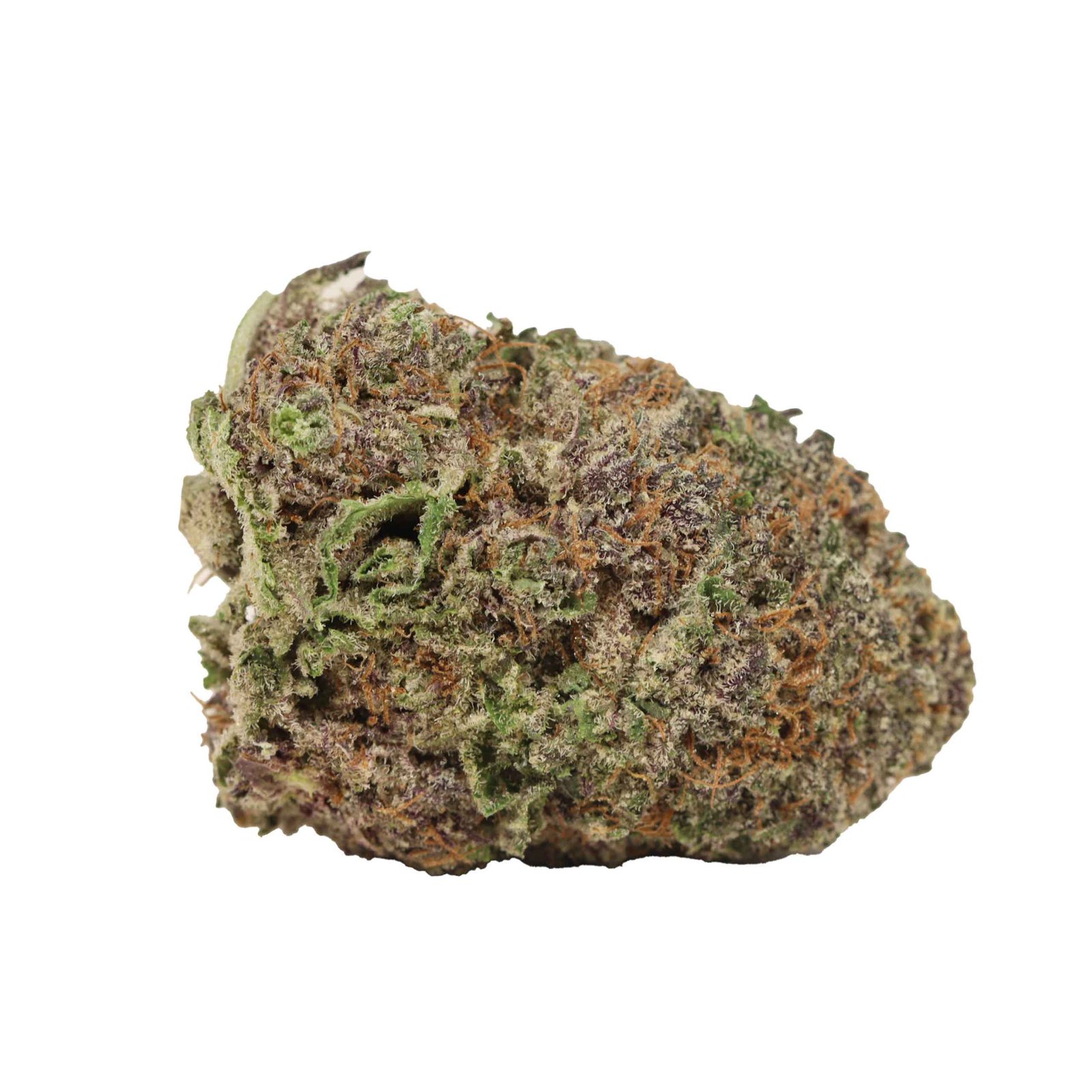 Purple Kush