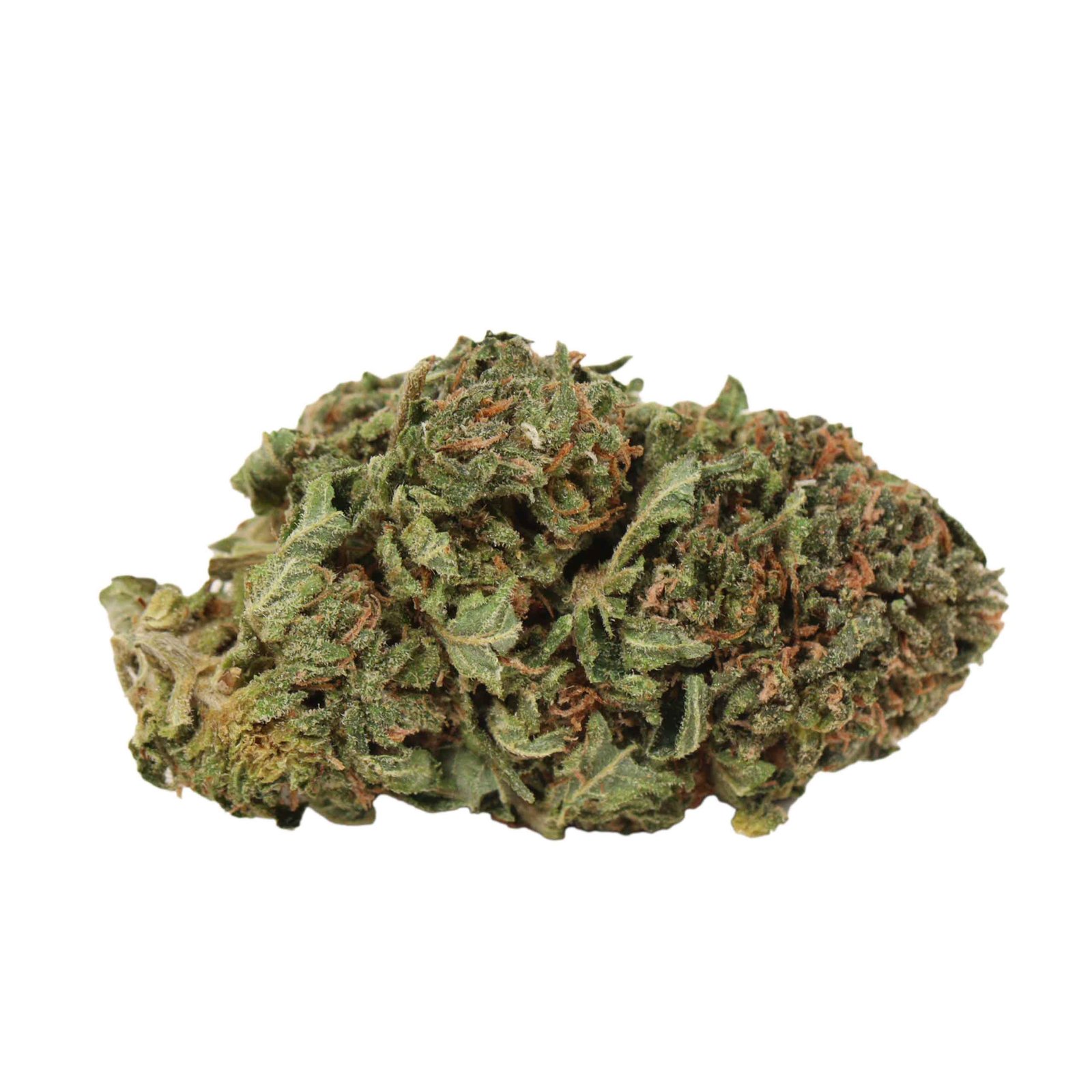 Tom Ford Death Bubba