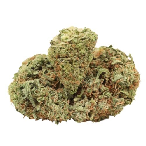 Violator Kush